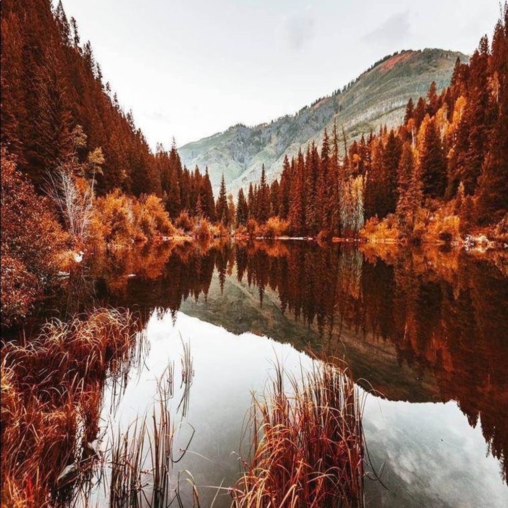 Meet your Posher, Ellie